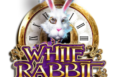White Rabbit